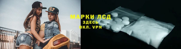 кокс Аркадак