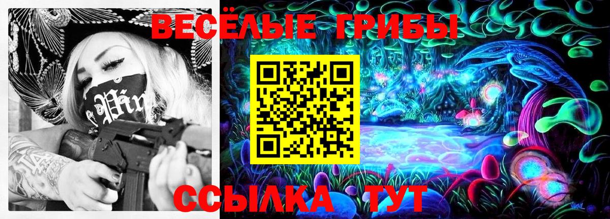 Прохладный  Галлюциногенные грибы Cubensis  Вход с VPN 